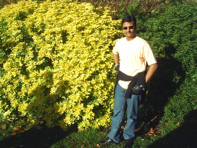 in St.James Park with Color full Plants