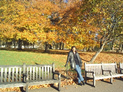 in St.James Park Color Full Trees